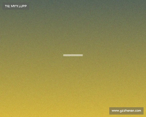 关于赛事的新闻关于赛事的新闻报道